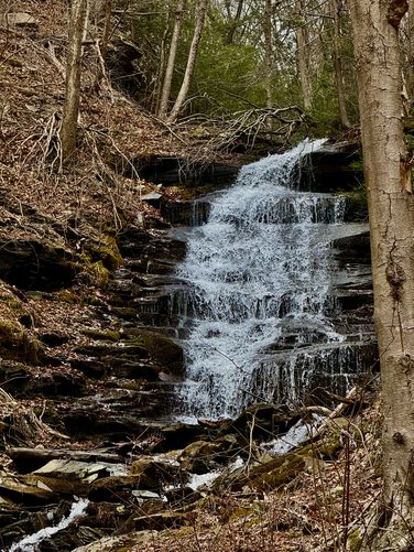Picture 34 of Benjamin Hollow Falls and Clay Mine Falls