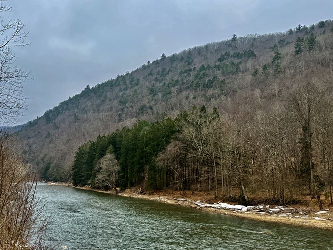 View of Pine Creek
