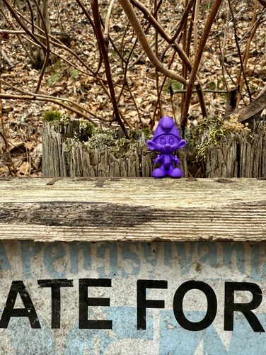 Picture 40 of Benjamin Hollow Falls and Clay Mine Falls