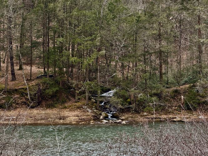 Picture 42 of Benjamin Hollow Falls and Clay Mine Falls