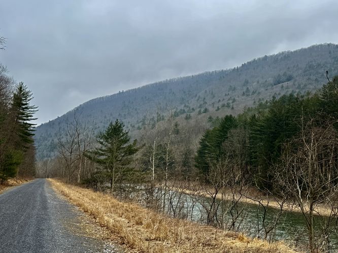 South-facing view of Pine Creek