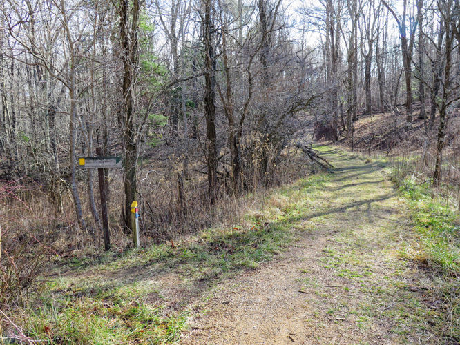 Picture 4 of Bent Mountain Falls Hike 010417