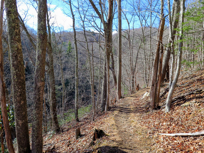Picture 6 of Bent Mountain Falls Hike 010417