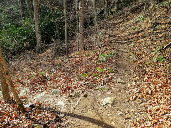 Picture 7 of Bent Mountain Falls Hike 010417