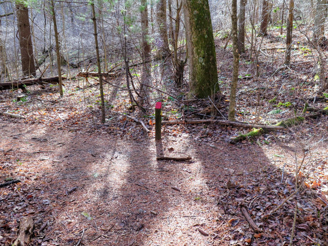 Picture 11 of Bent Mountain Falls Hike 010417