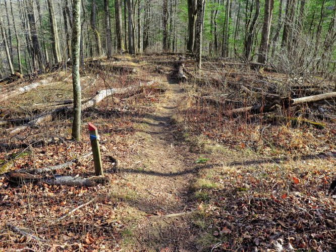 Picture 12 of Bent Mountain Falls Hike 010417