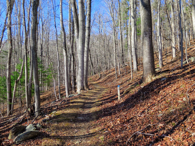 Picture 16 of Bent Mountain Falls Hike 010417