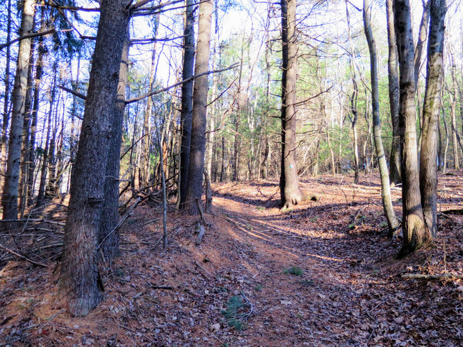 Picture 17 of Bent Mountain Falls Hike 010417