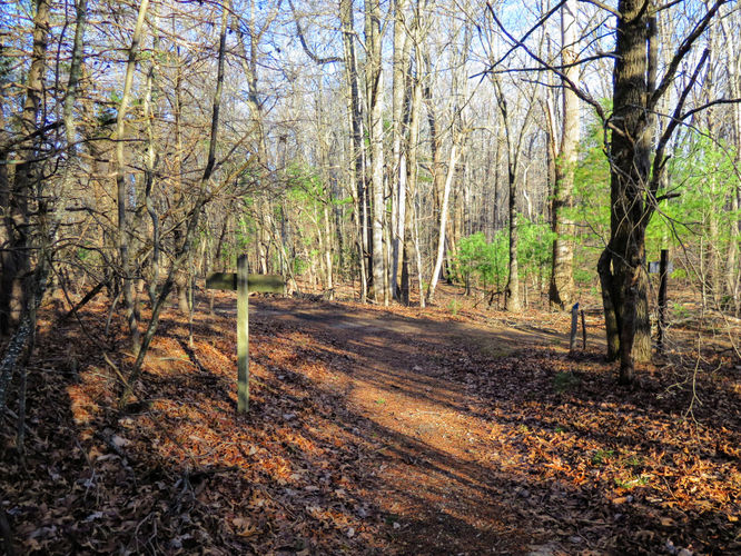 Picture 19 of Bent Mountain Falls Hike 010417