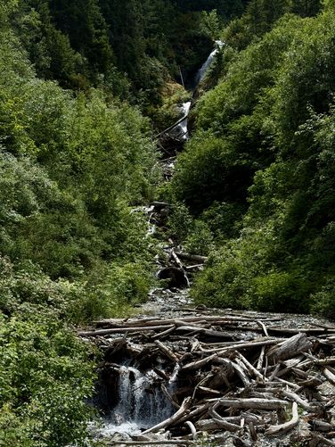 Portrait view of Berry Creek Falls