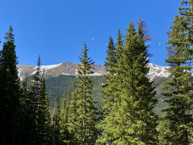 View of Engelmann Peak