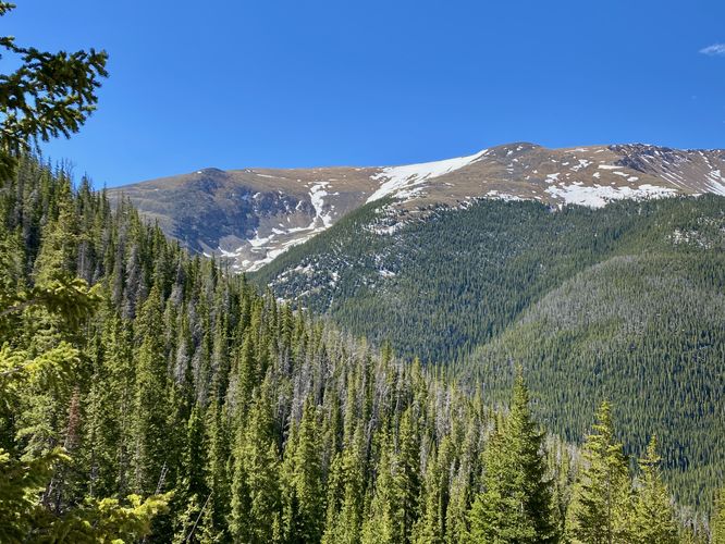 View of Engelmann Peak