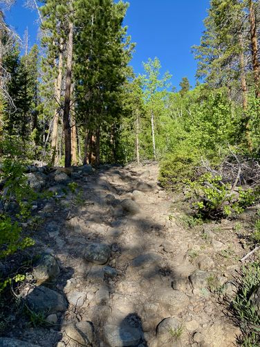 Rocky terrain along the Bierstadt Moraine Trail