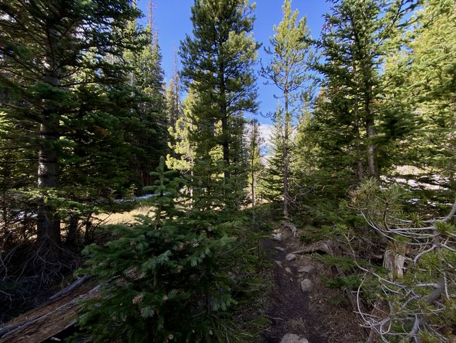 Rough trail leads to creek view