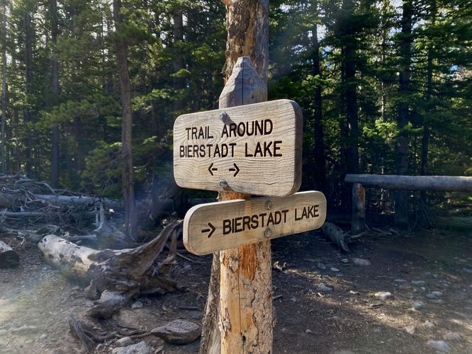 Junction for Bierstadt Lake views (north shore)