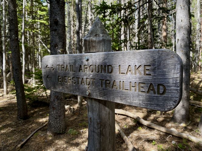 Bierstadt Lake Loop