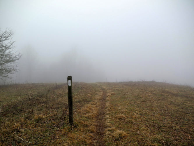 Picture 12 of Big Bald Hike 011616