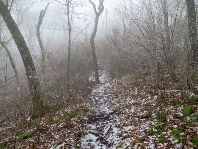Picture 20 of Big Bald Hike 011616