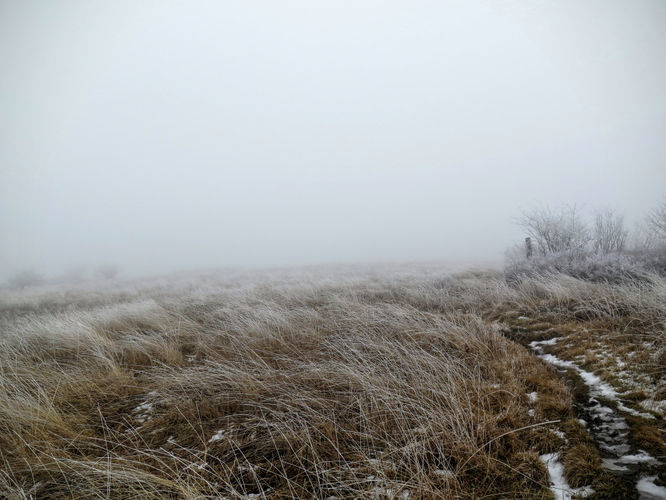 Picture 30 of Big Bald Hike 011616