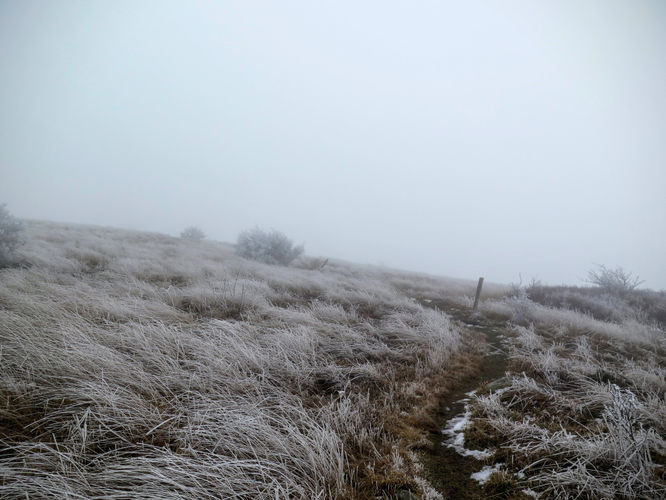 Picture 34 of Big Bald Hike 011616