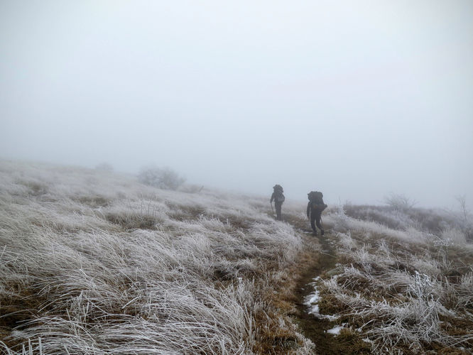 Picture 39 of Big Bald Hike 011616