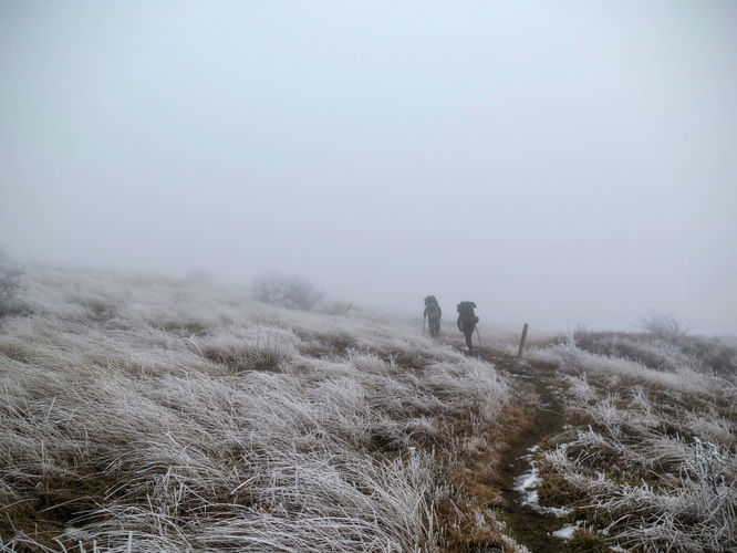 Picture 40 of Big Bald Hike 011616