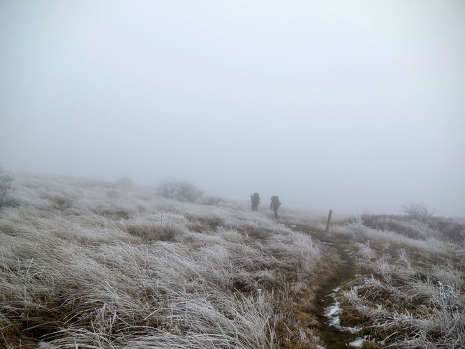 Picture 41 of Big Bald Hike 011616