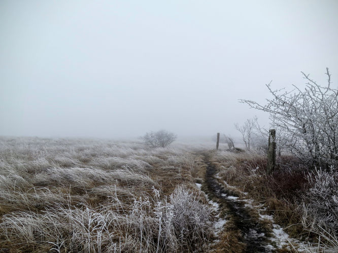 Picture 42 of Big Bald Hike 011616