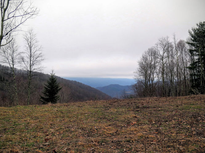 Picture 44 of Big Bald Hike 011616