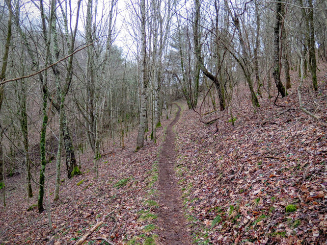 Picture 45 of Big Bald Hike 011616