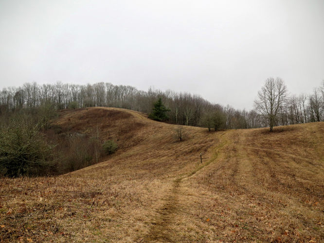 Picture 46 of Big Bald Hike 011616