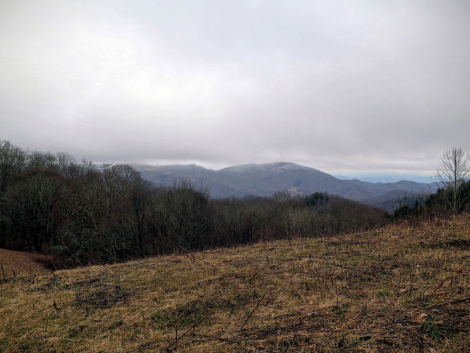 Picture 47 of Big Bald Hike 011616