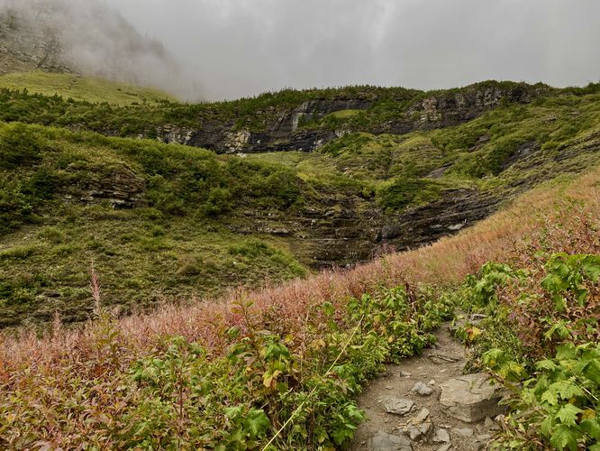 Hiking up the Big Bend meadow to reach a seasonal avalanche chute (waterfall)