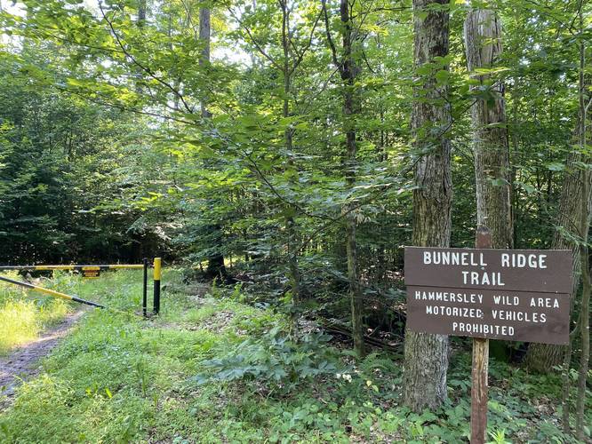 Bunnell Ridge Trail trailhead
