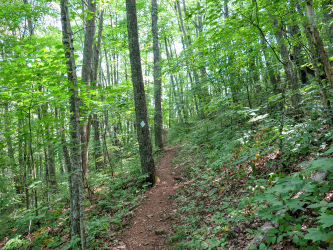 Picture 7 of Big Butt Trail Hike 072416