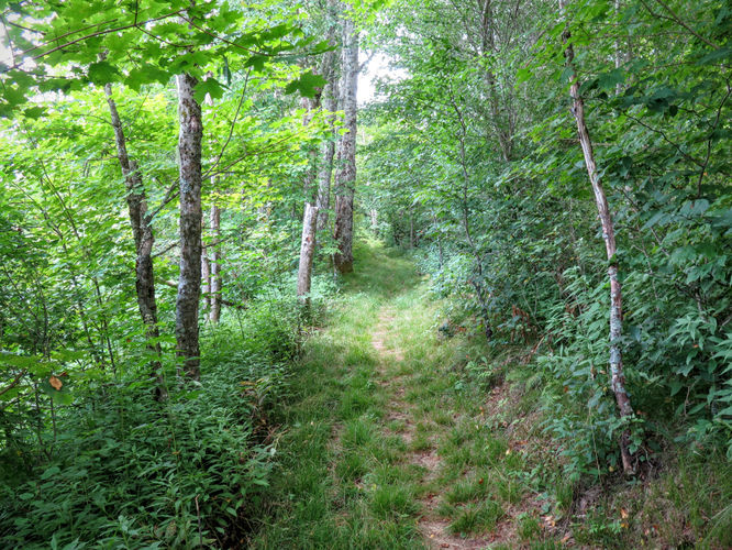 Picture 8 of Big Butt Trail Hike 072416