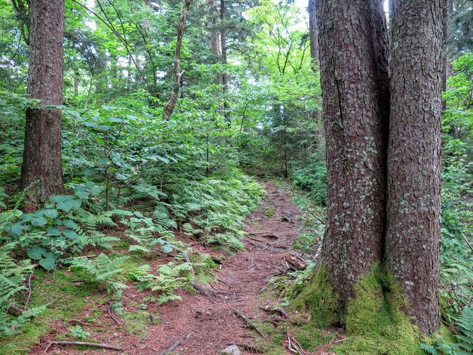 Picture 24 of Big Butt Trail Hike 072416