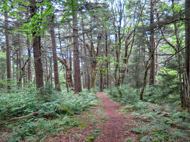 Picture 26 of Big Butt Trail Hike 072416