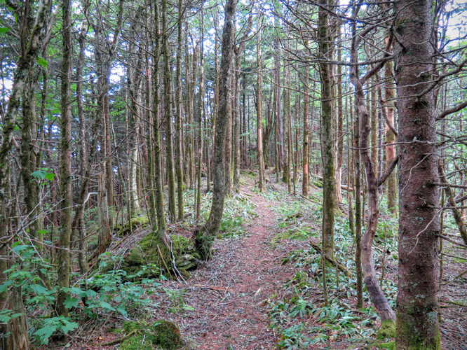 Picture 31 of Big Butt Trail Hike 072416