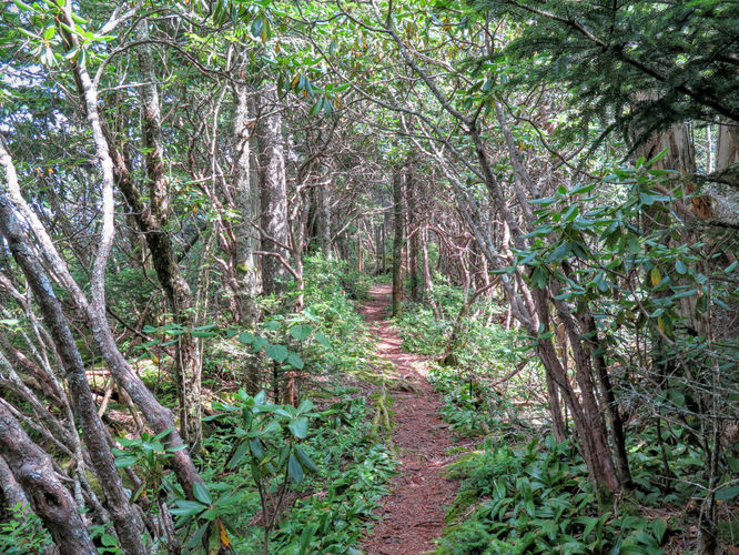 Picture 32 of Big Butt Trail Hike 072416