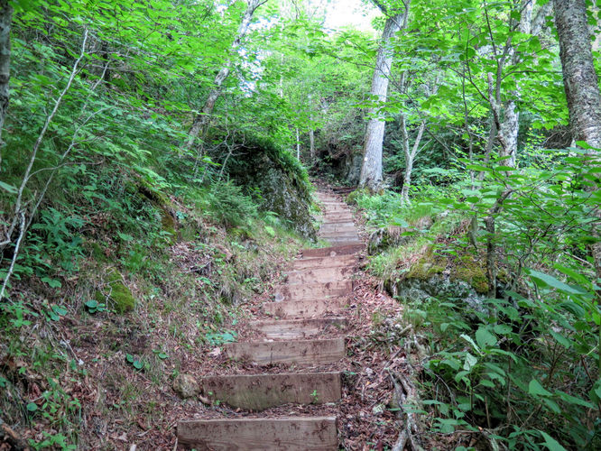 Picture 39 of Big Butt Trail Hike 072416