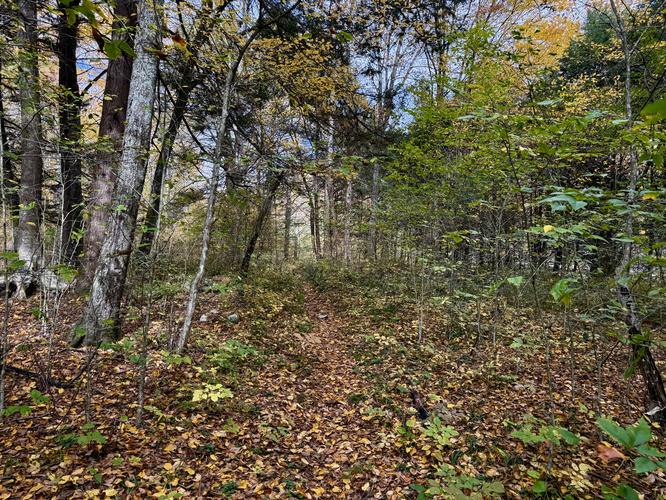 Big Falls and Little Falls - Big Falls Oct 15 2026 album