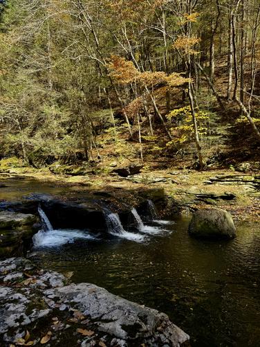 Picture 30 of Big Falls Oct 15 2026