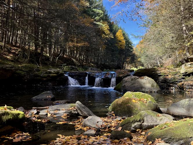Picture 34 of Big Falls Oct 15 2026
