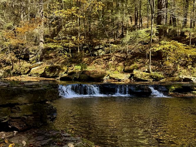 Picture 41 of Big Falls Oct 15 2026