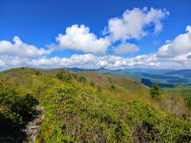 Picture 6 of Big Firescald Knob Hike 051517
