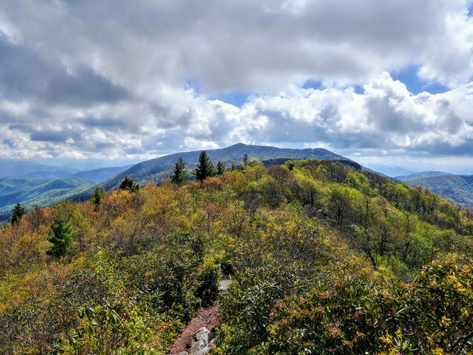 Picture 7 of Big Firescald Knob Hike 051517