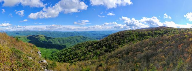 Picture 13 of Big Firescald Knob Hike 051517