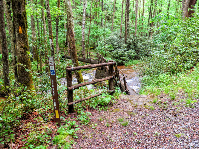 Picture 15 of Big Firescald Knob Hike 051517