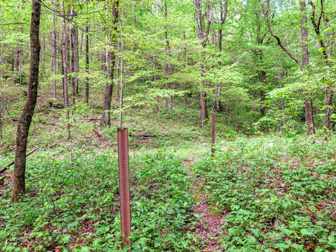 Picture 39 of Big Firescald Knob Hike 051517